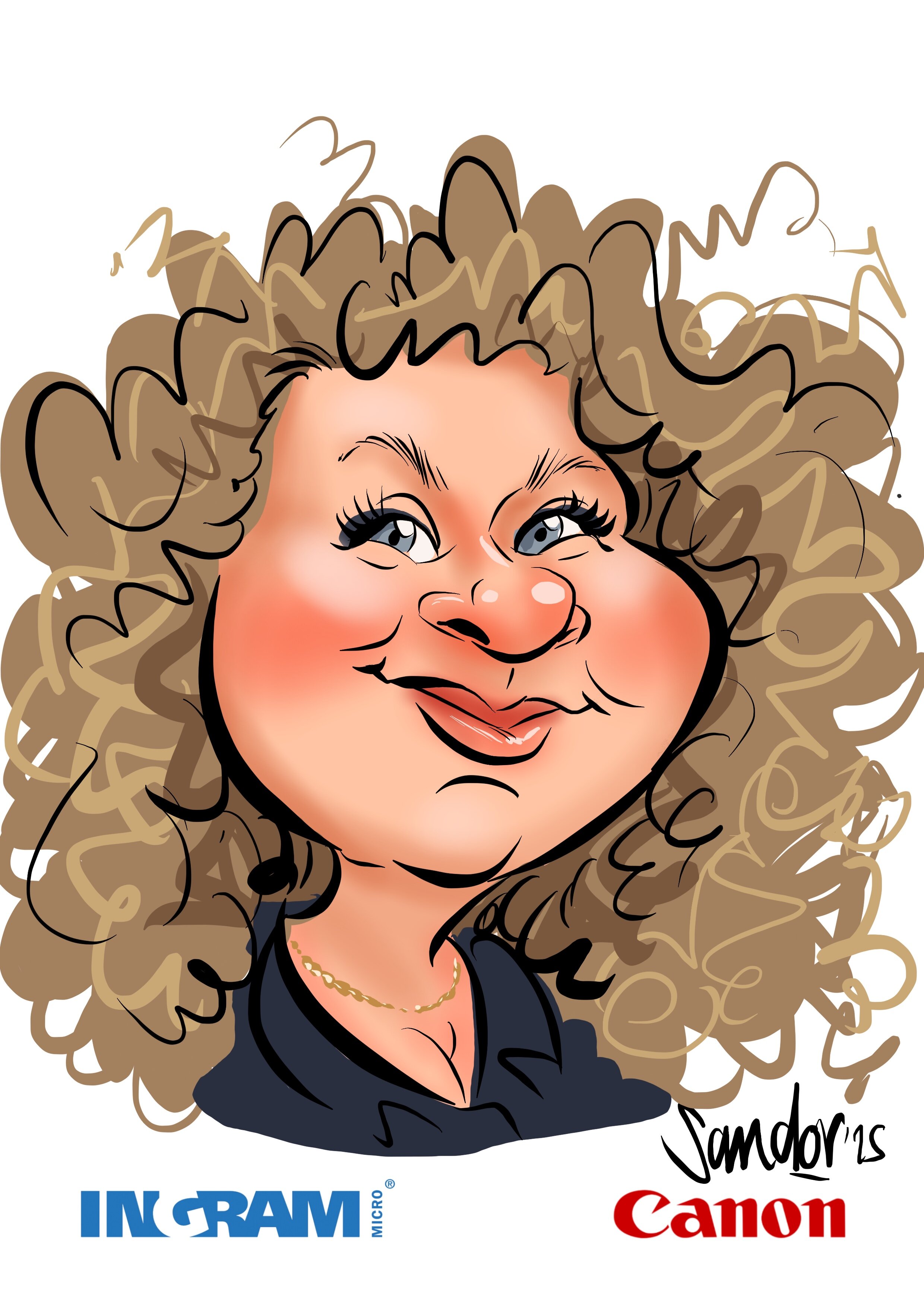 Ingram Micro-par Sandor