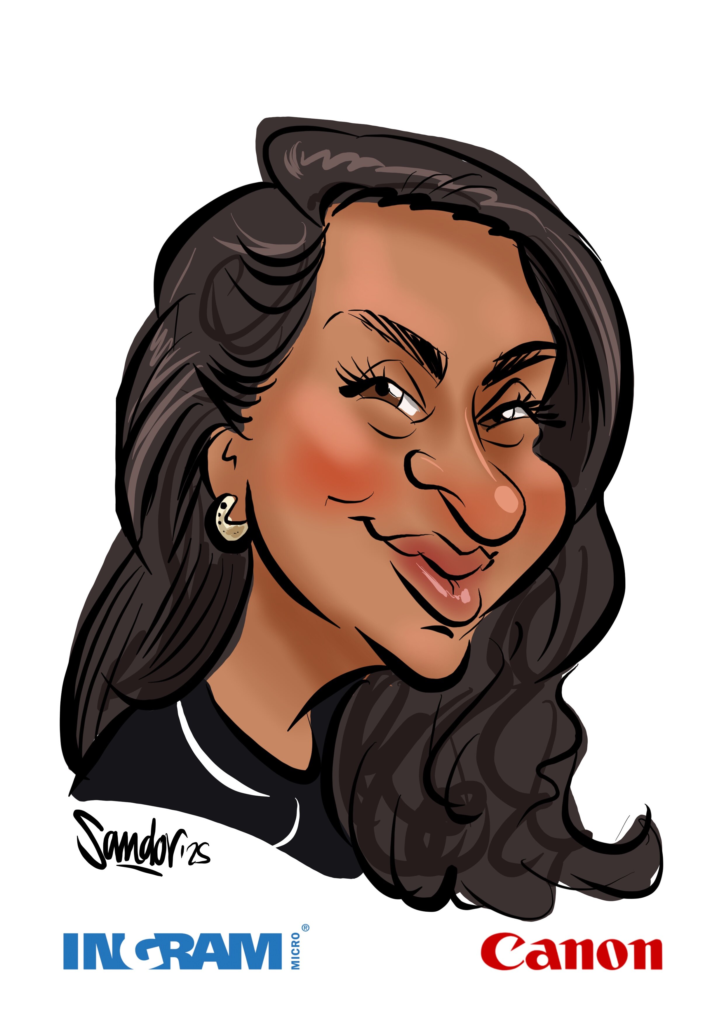 Ingram Micro-par Sandor