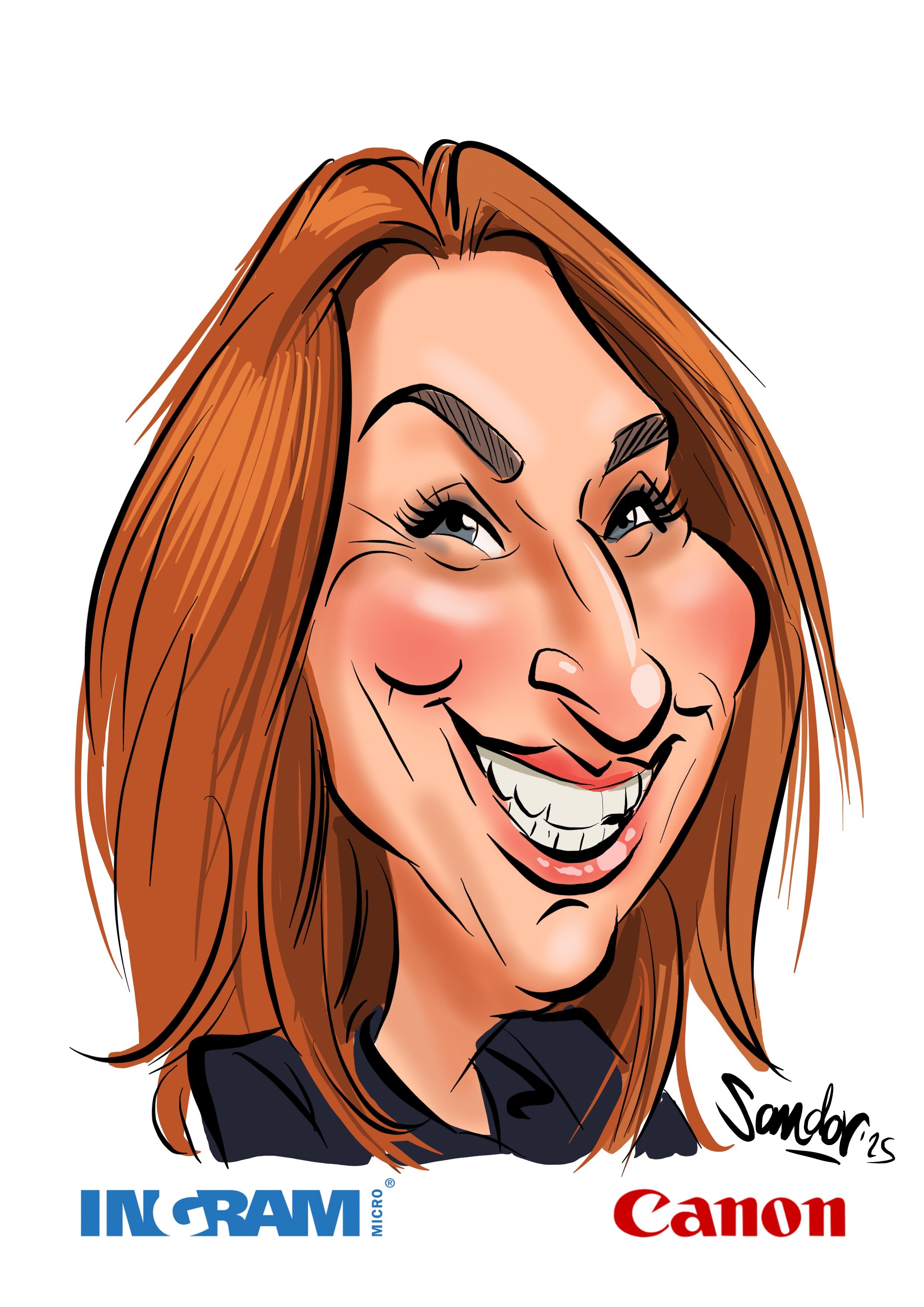 Ingram Micro-par Sandor