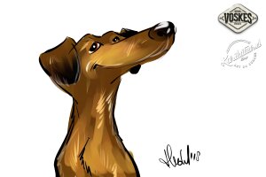 Événement animalier Voskes 3 Événement animalier Voskes 3
