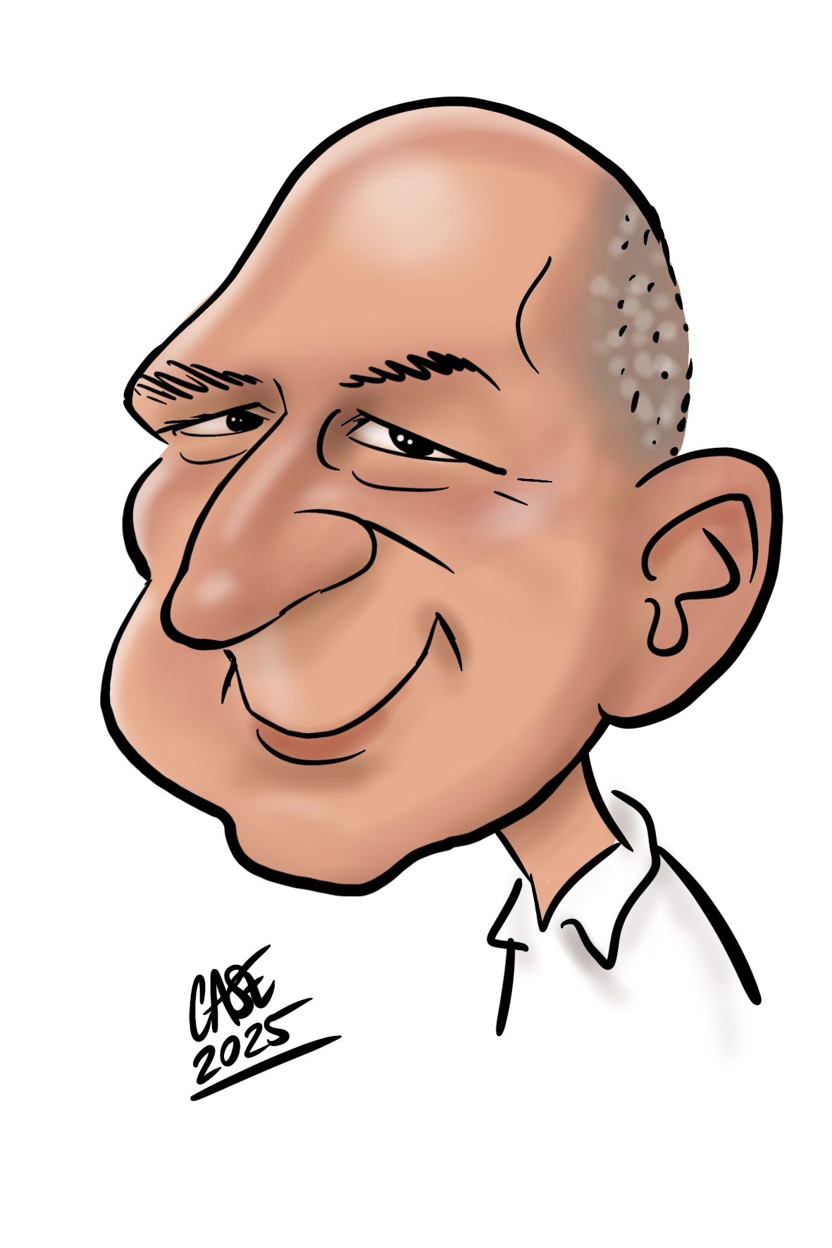 Karikatuur Karikatuur